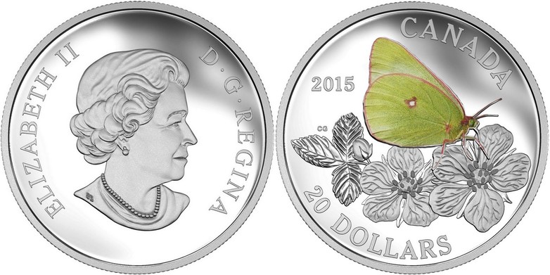 canada 2015 papillon colias gigantea