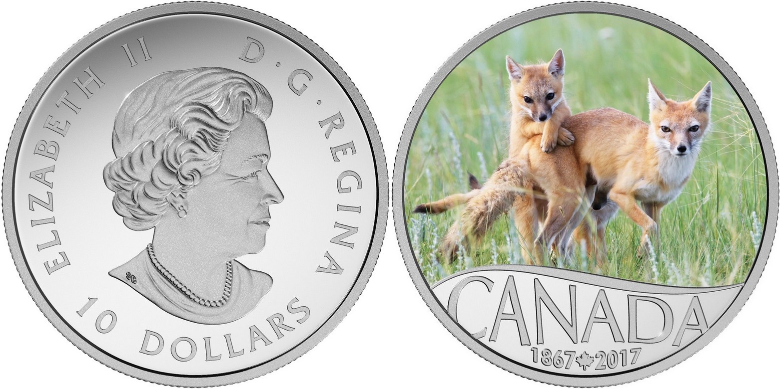 canada 2017 150 ans du canada renard et ses petits