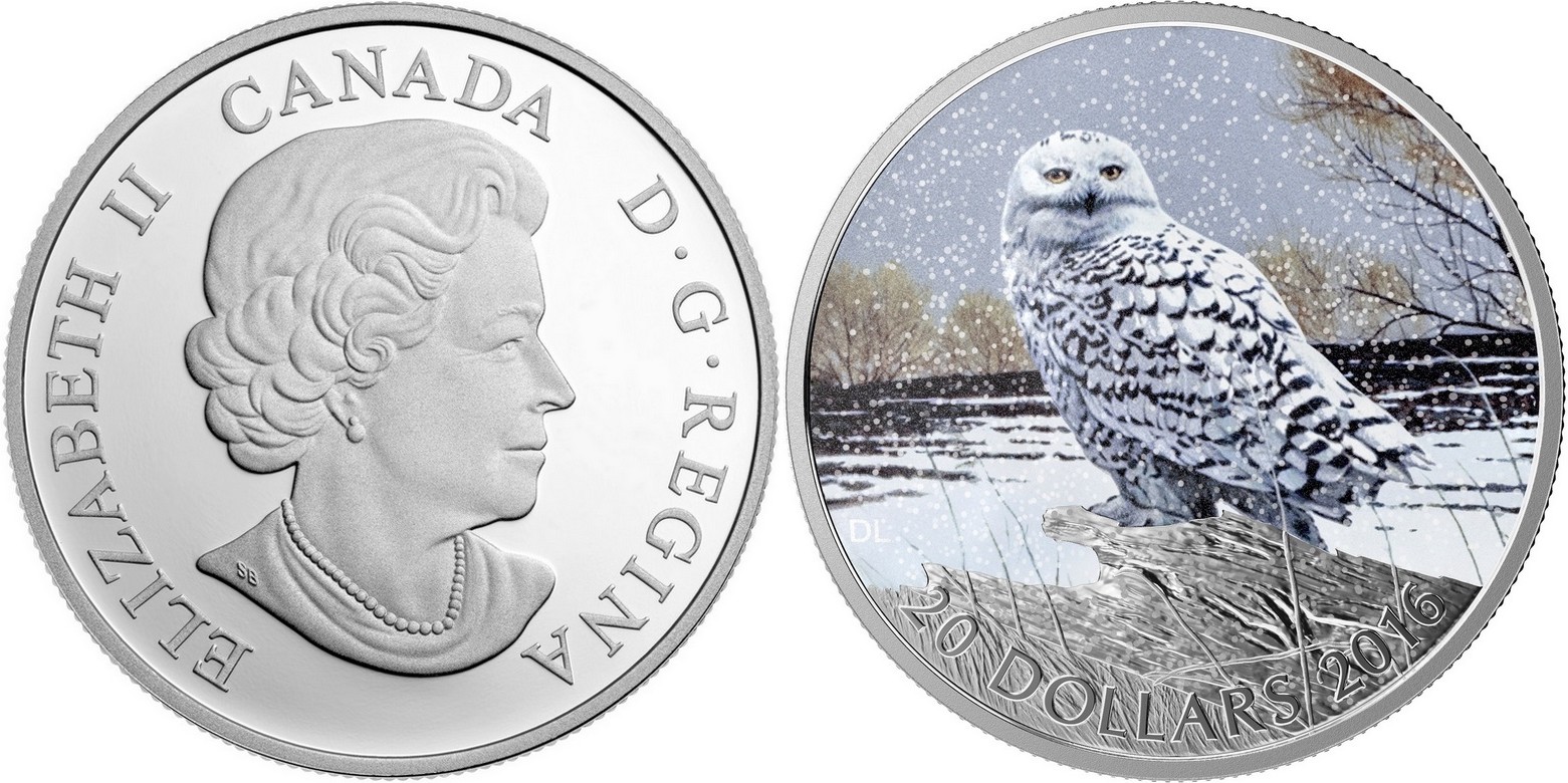 canada 2015 majestueux harfang des neiges