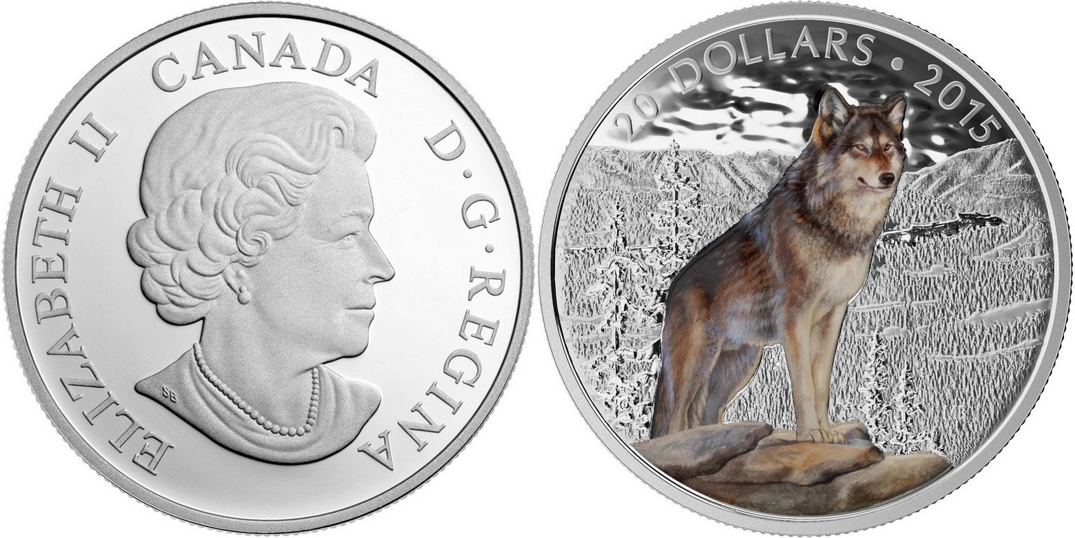 canada 2015 majestueux loup