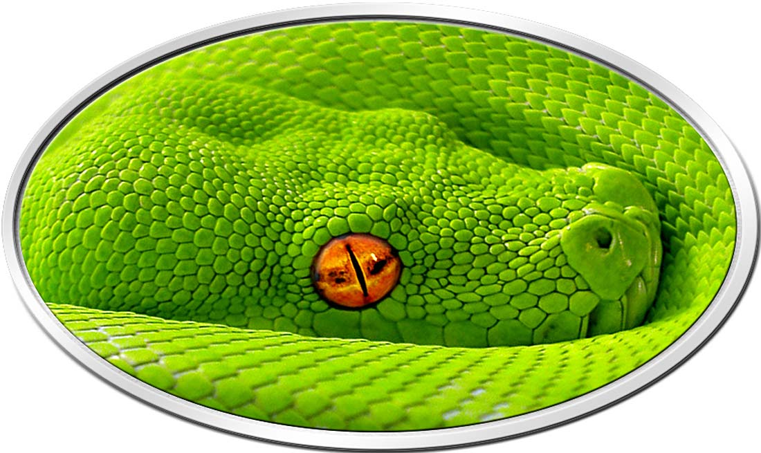 fidji 2016 python
