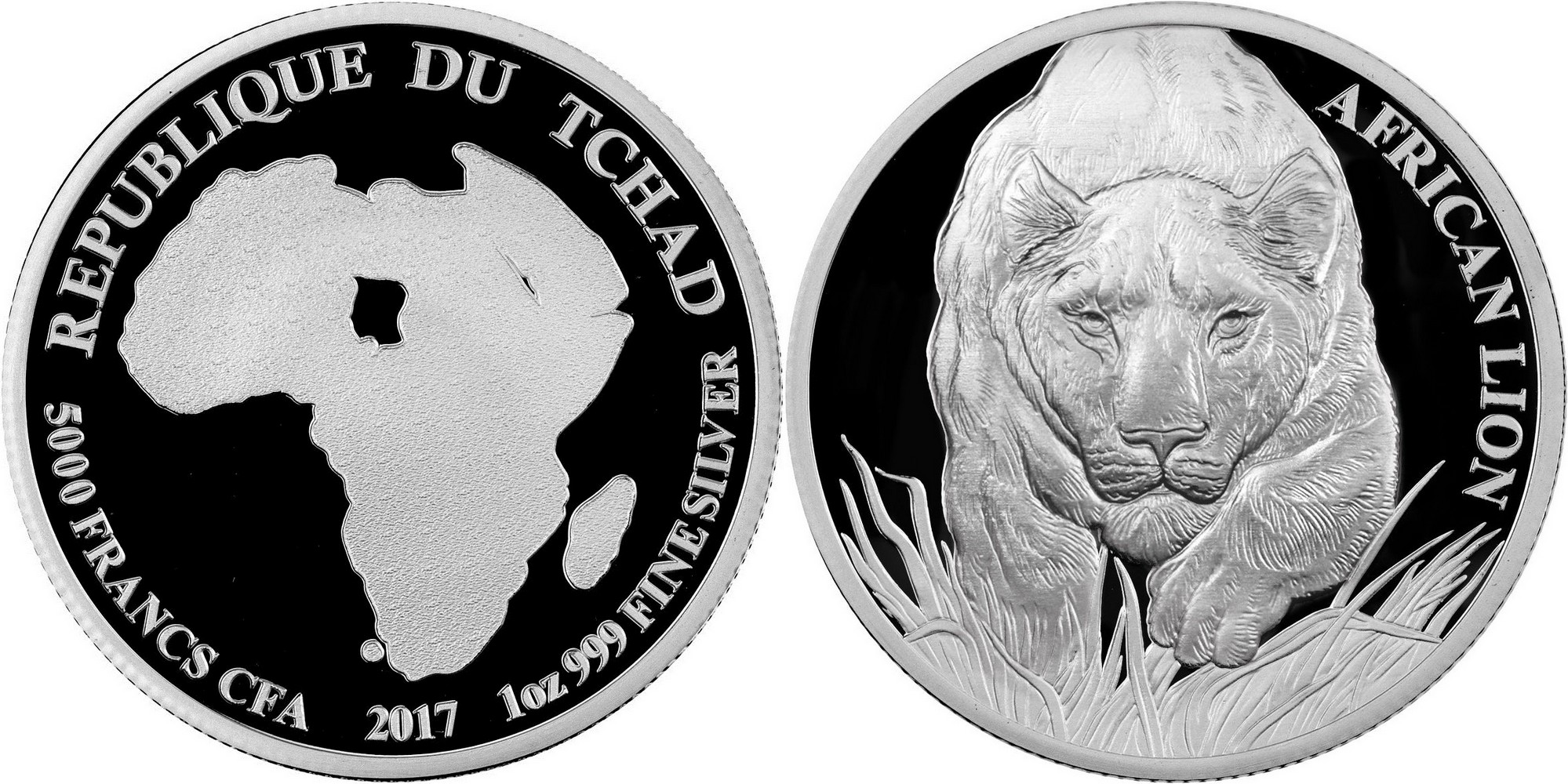 thad 2017 lion africain proof