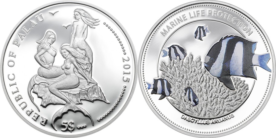 palau 2015 dascyllus aruanus