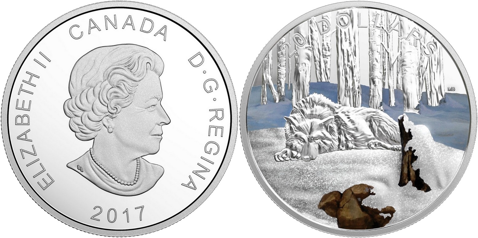 canada 2017 nord scintillant loup arctique