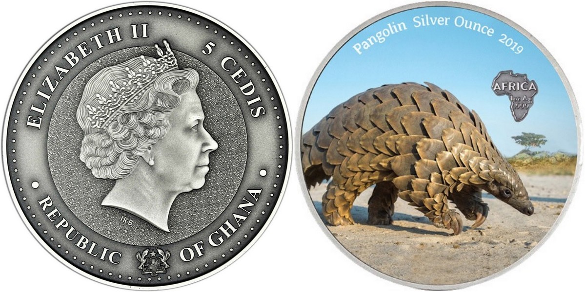 ghana-2019-pangolin-couleur