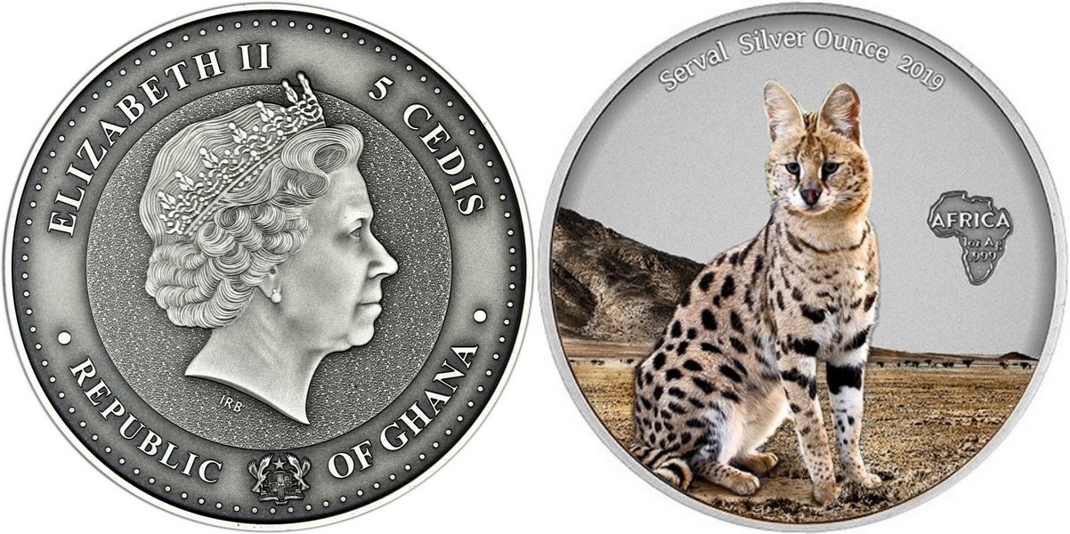 ghana-2019-serval-couleur