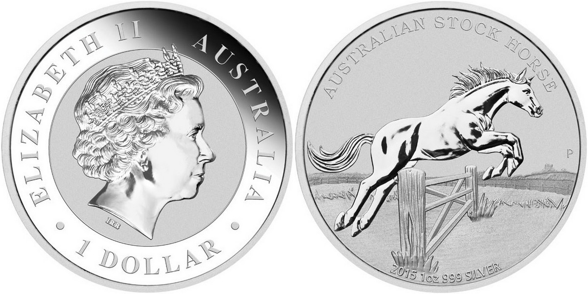 australie 2015 stock horse.jpg