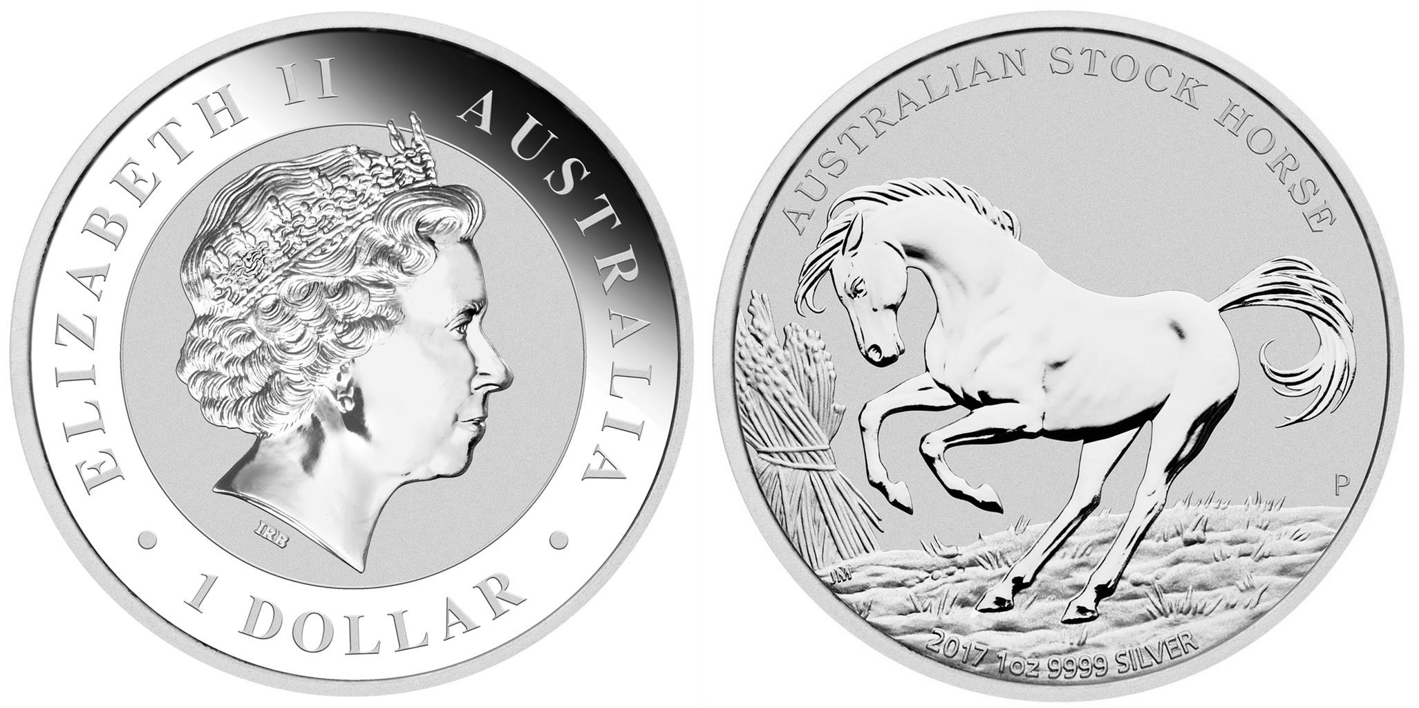 australie 2017 cheval stock australien