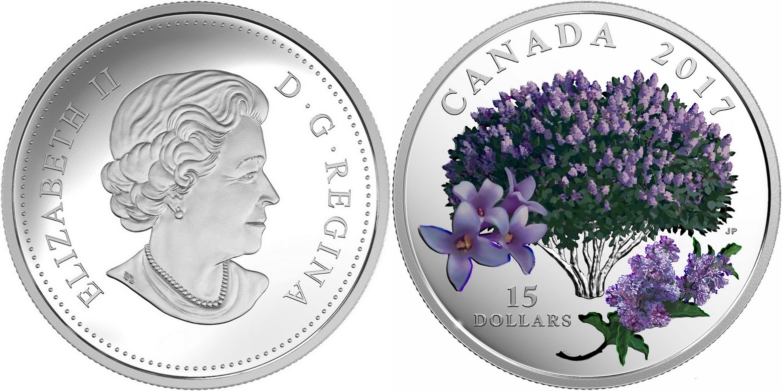 canada 2017 lilas en fleurs