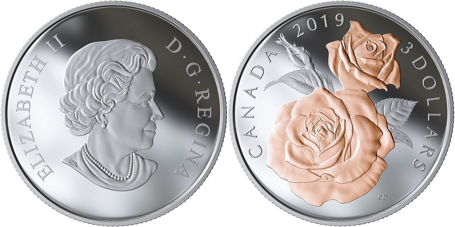 canada-2019-fleurs-du-rosier-reine-elizabeth