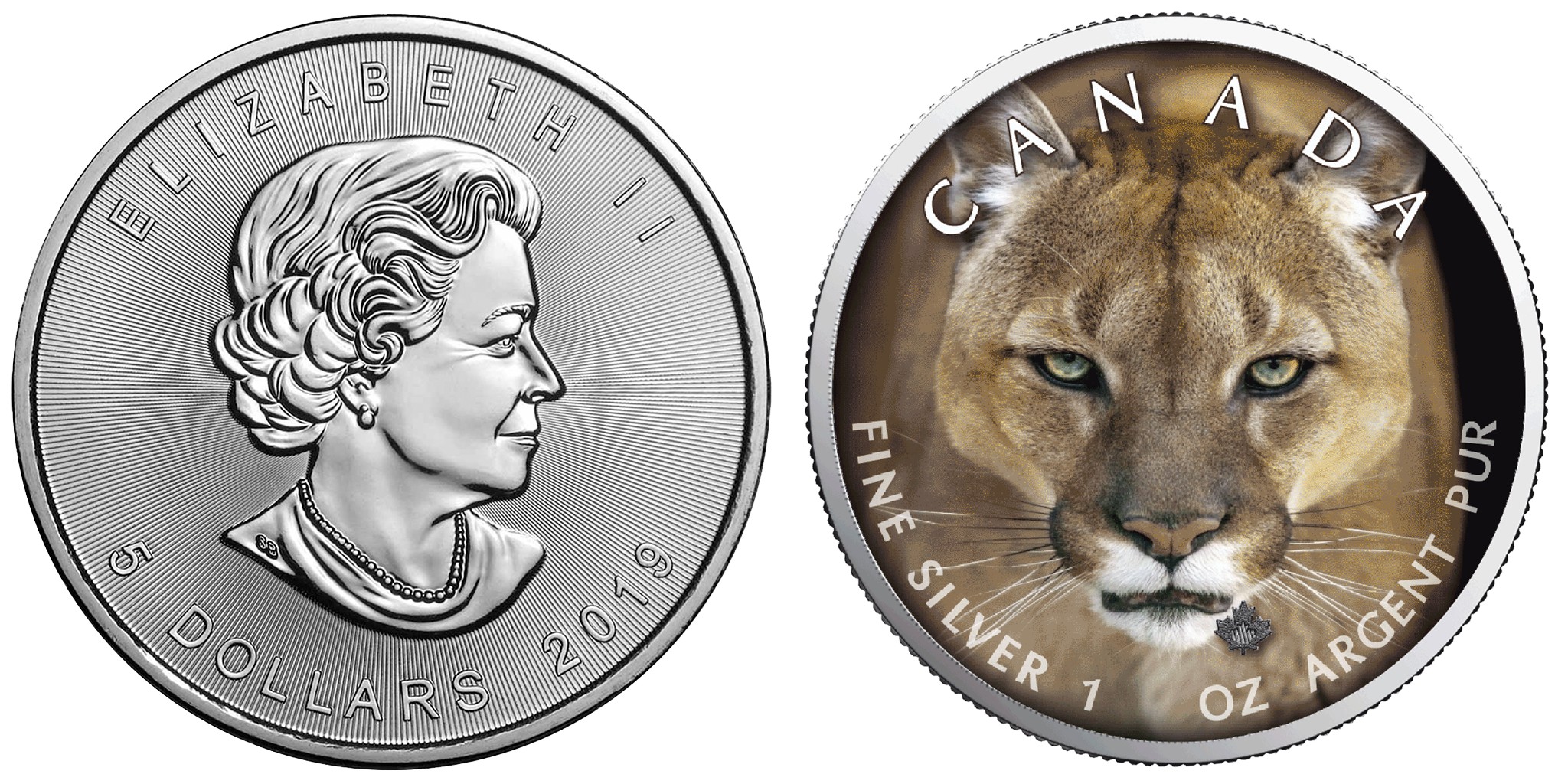 canada-2019-maple-cougar-500-ex