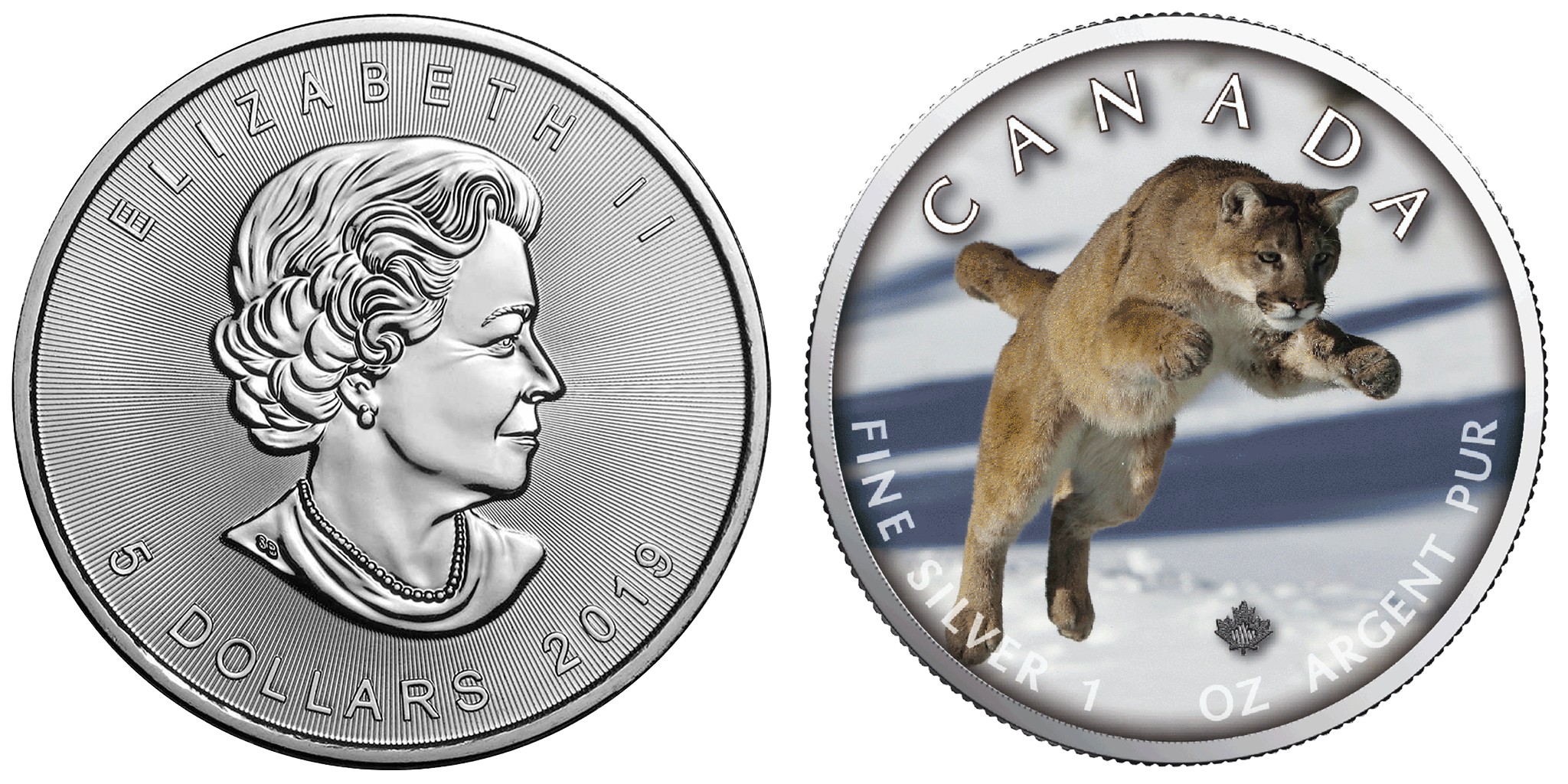 canada-2019-maple-cougar