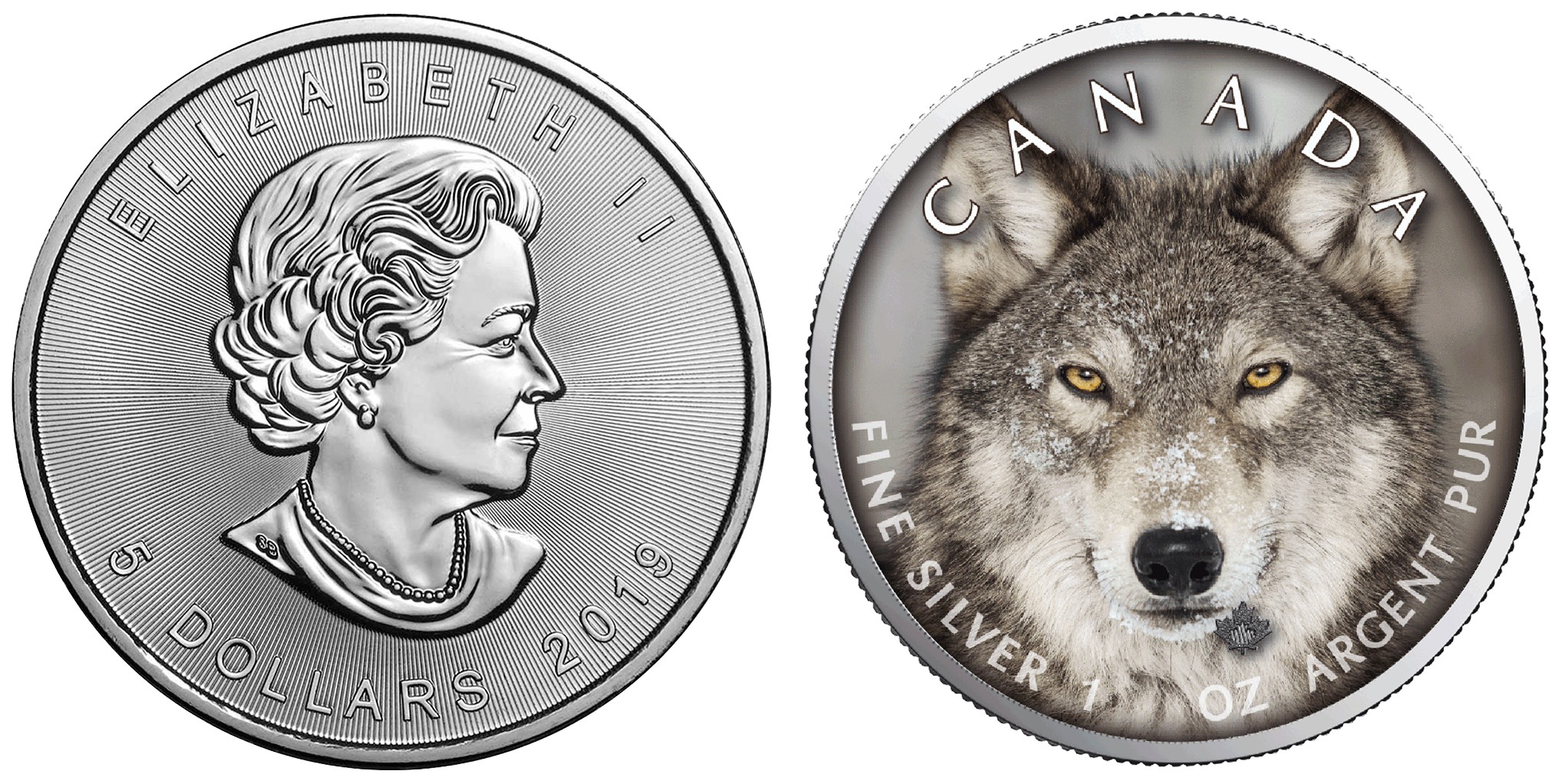 canada-2019-maple-loup-500-ex