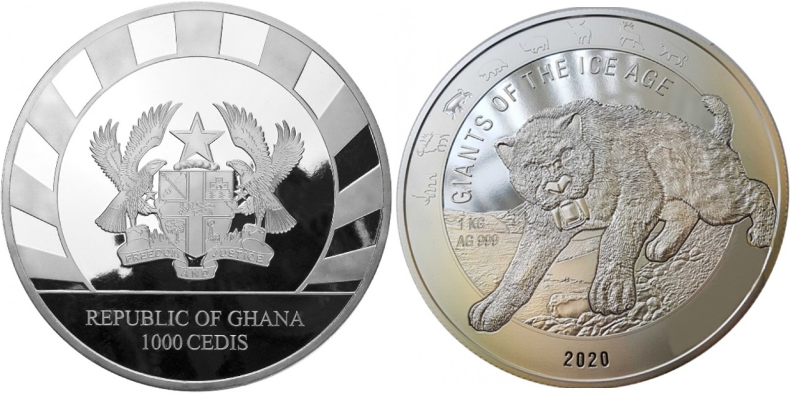 ghana-2020-smilidon-dents-de-sabre