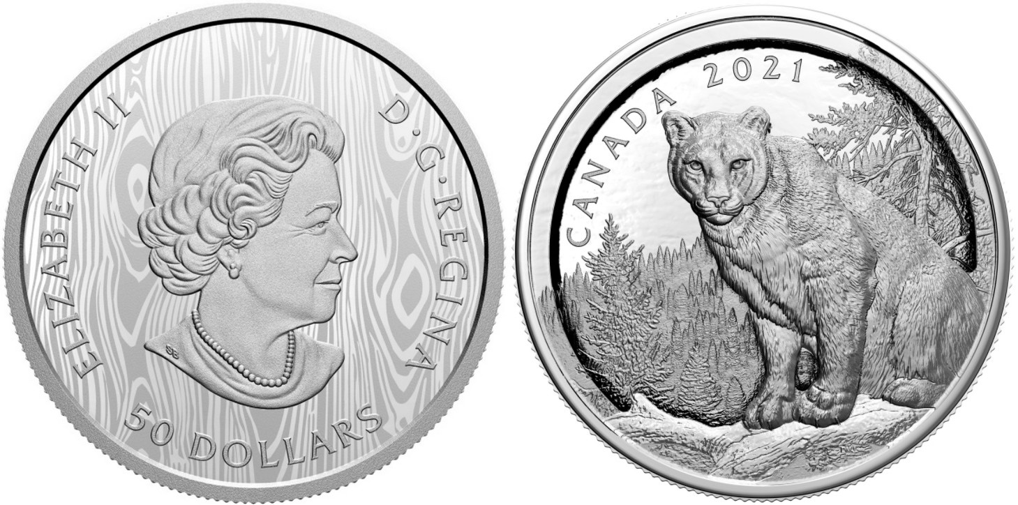 canada-2021-cougar-a-relief-multiple