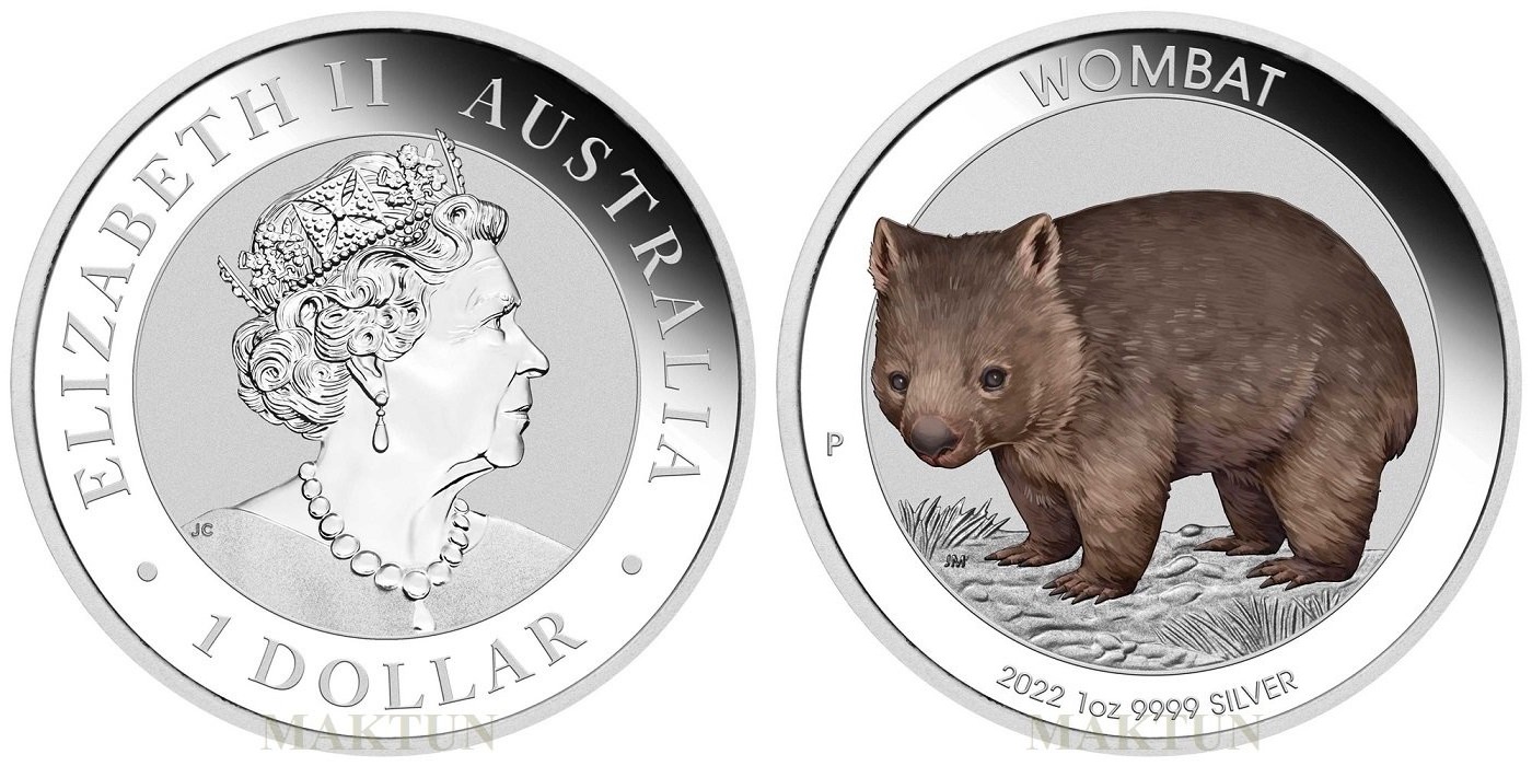 australie-2022-wombat