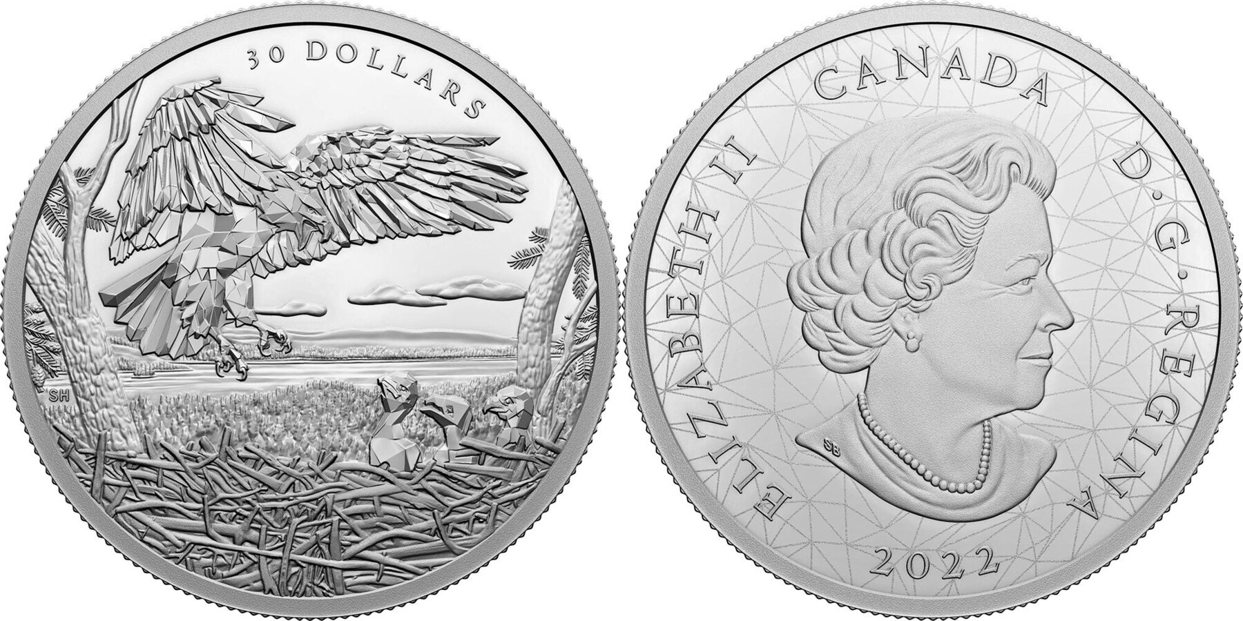 canada-2022-aigle-chauve-multi-facettes