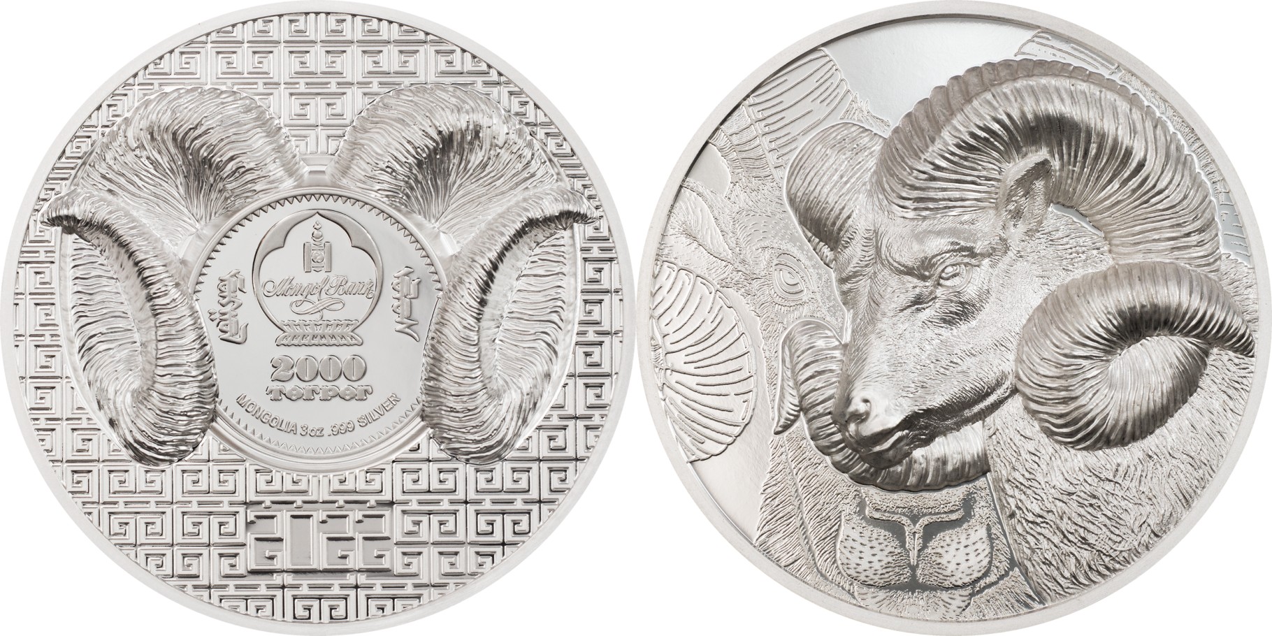 mongolie-2022-mouflon-dasie-3-oz