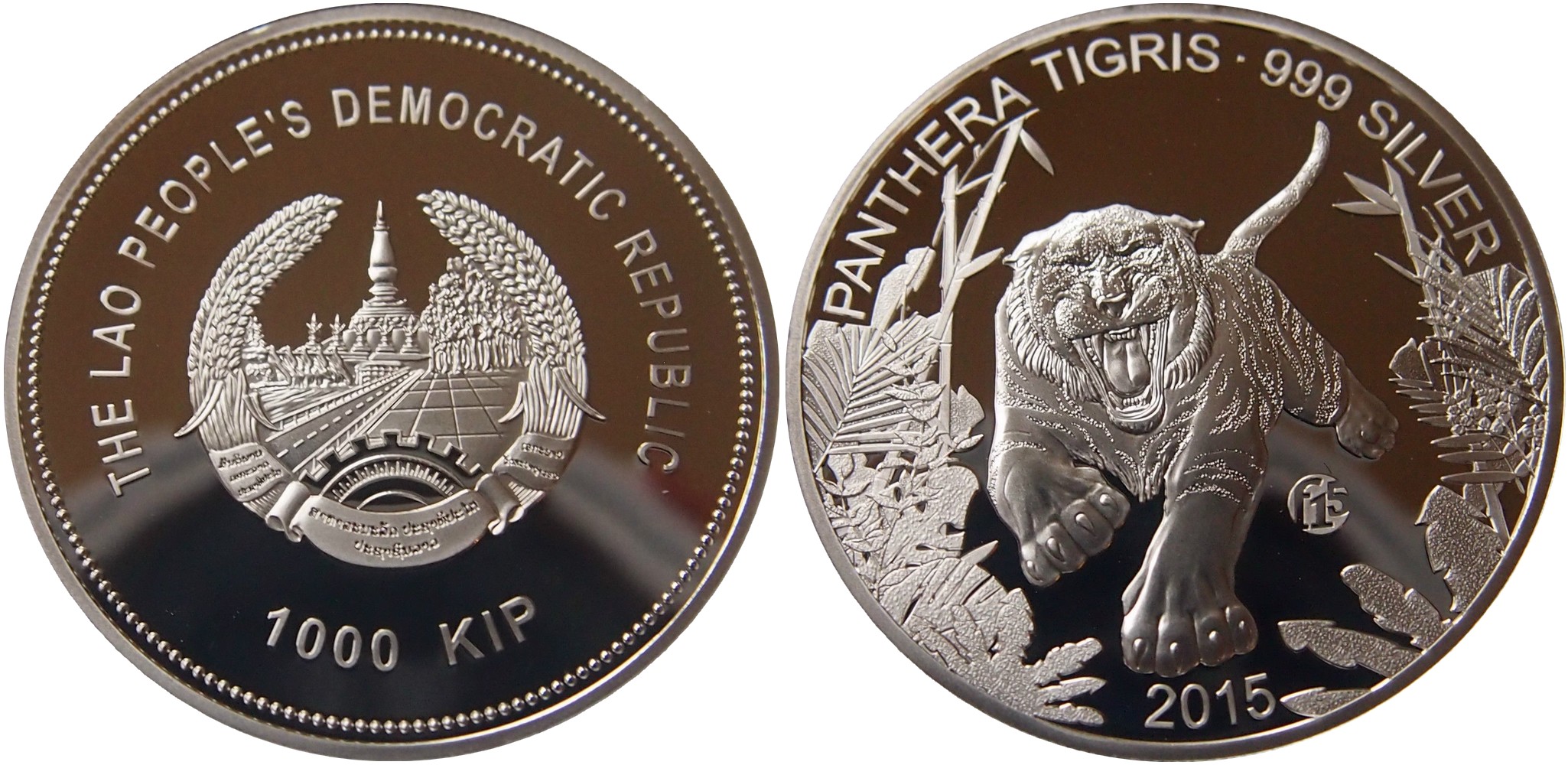 laos 2015 tigre