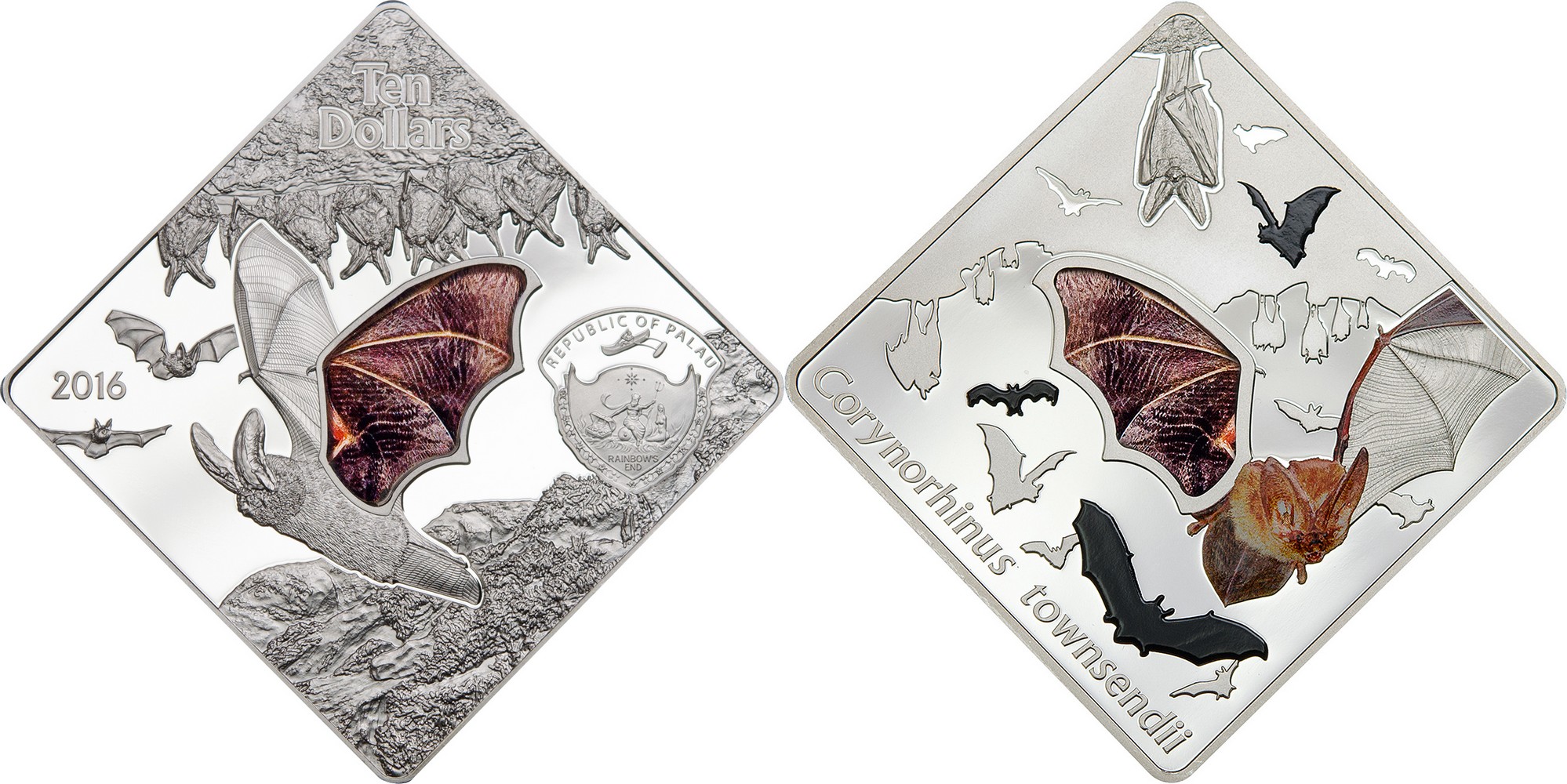 palau 2016 chauve-souris