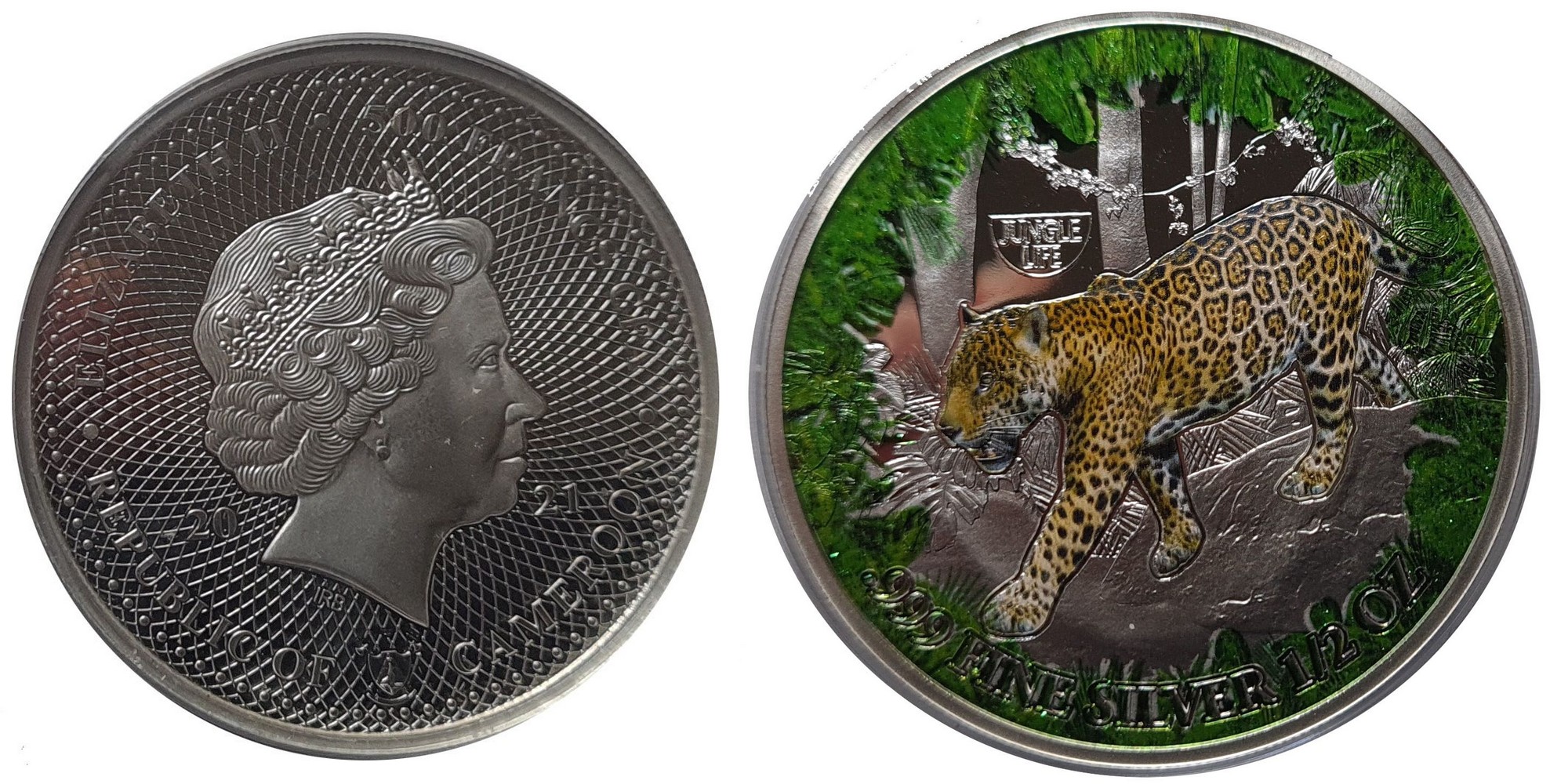 cameroun-2021-vie-de-la-jungle-jaguar