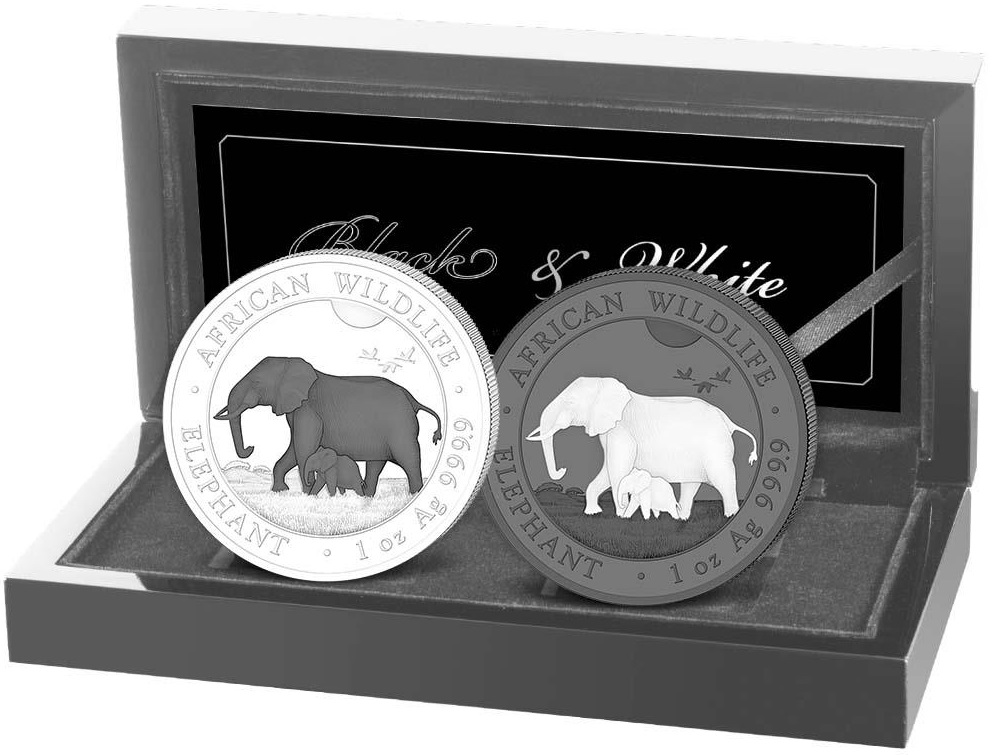 somalie-2022-set-black-and-white-elephant