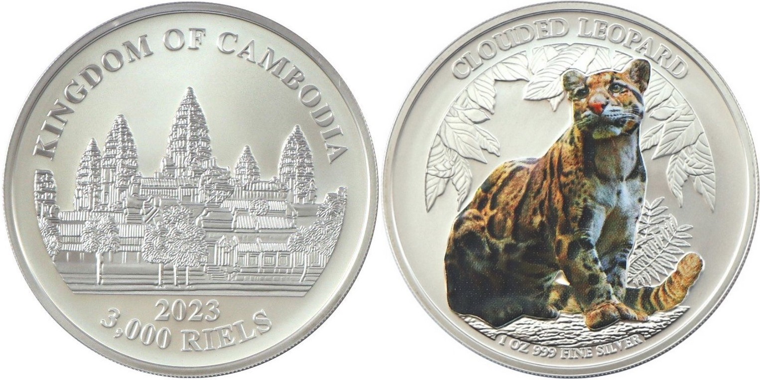 cambodge-2023-leopard-tachete