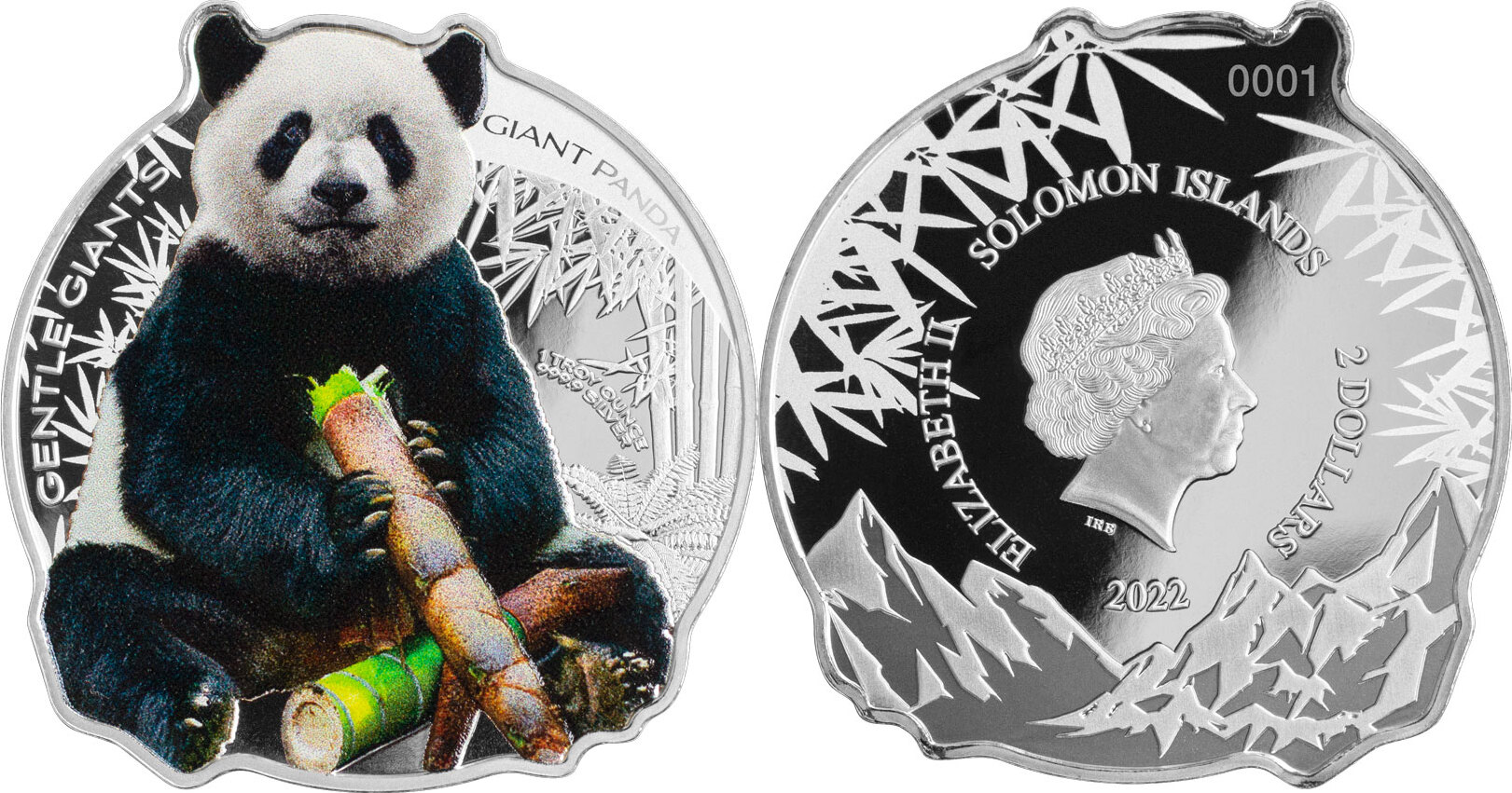 salomon-2022-panda-geant