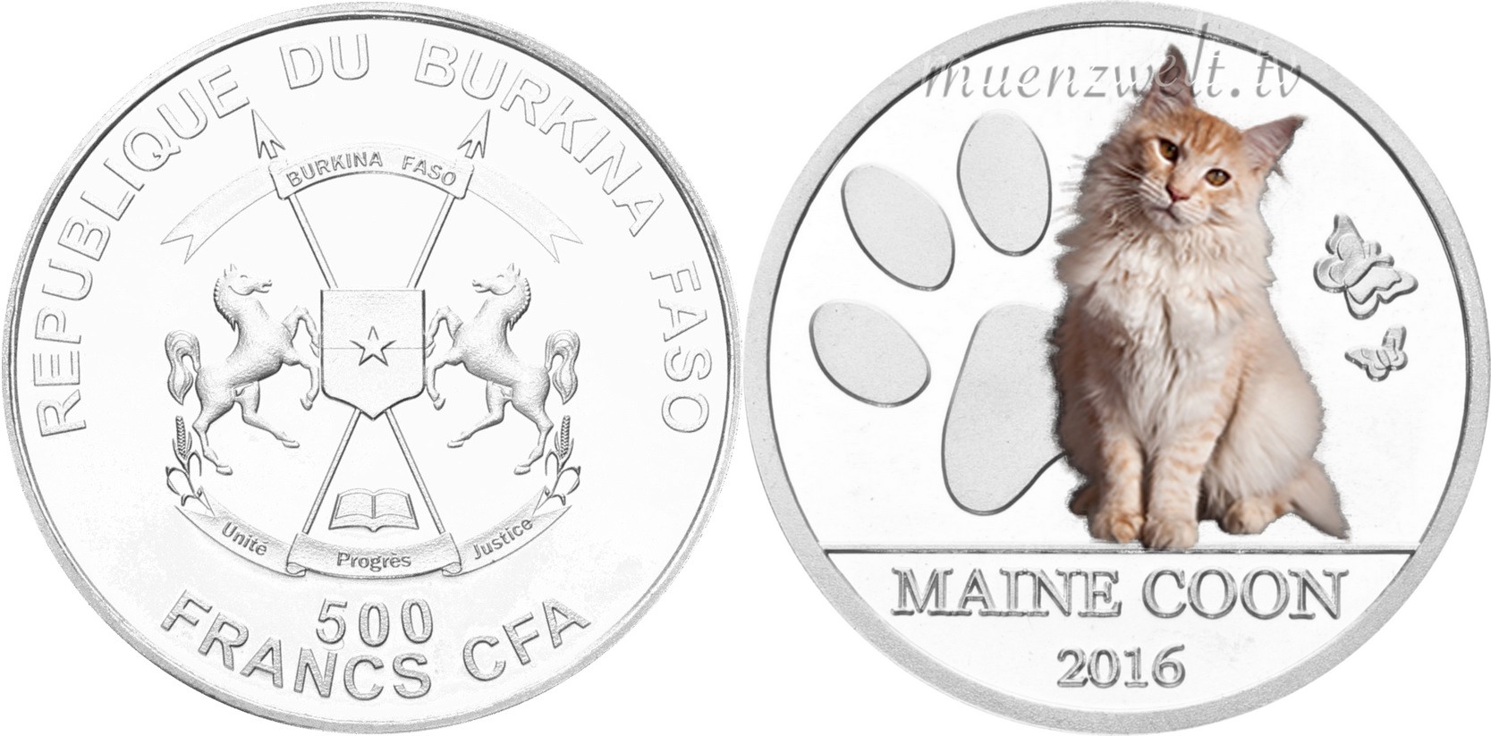 burkina faso 2016 chats du monde maine coon