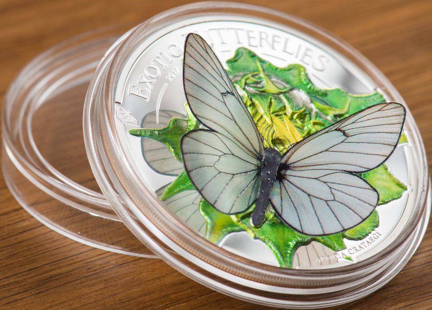 mongolie 2017 papillons exotiques relief
