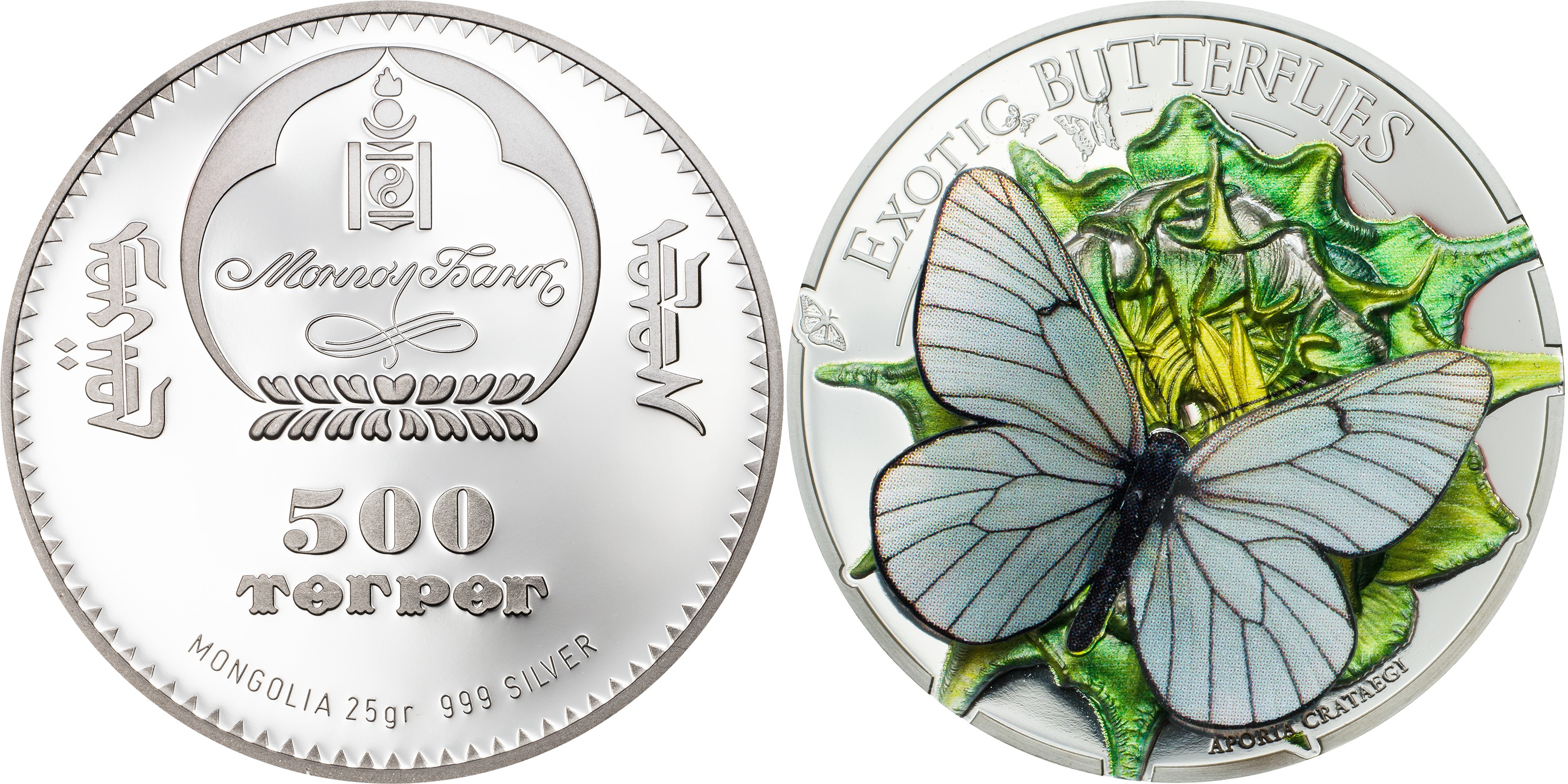 mongolie 2017 papillons exotiques