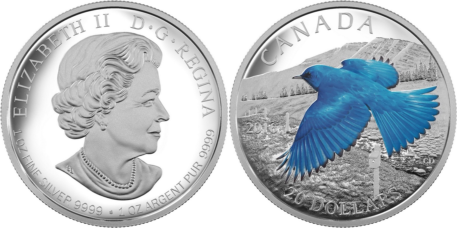 canada 2016 oiseaux migrateurs merle bleu