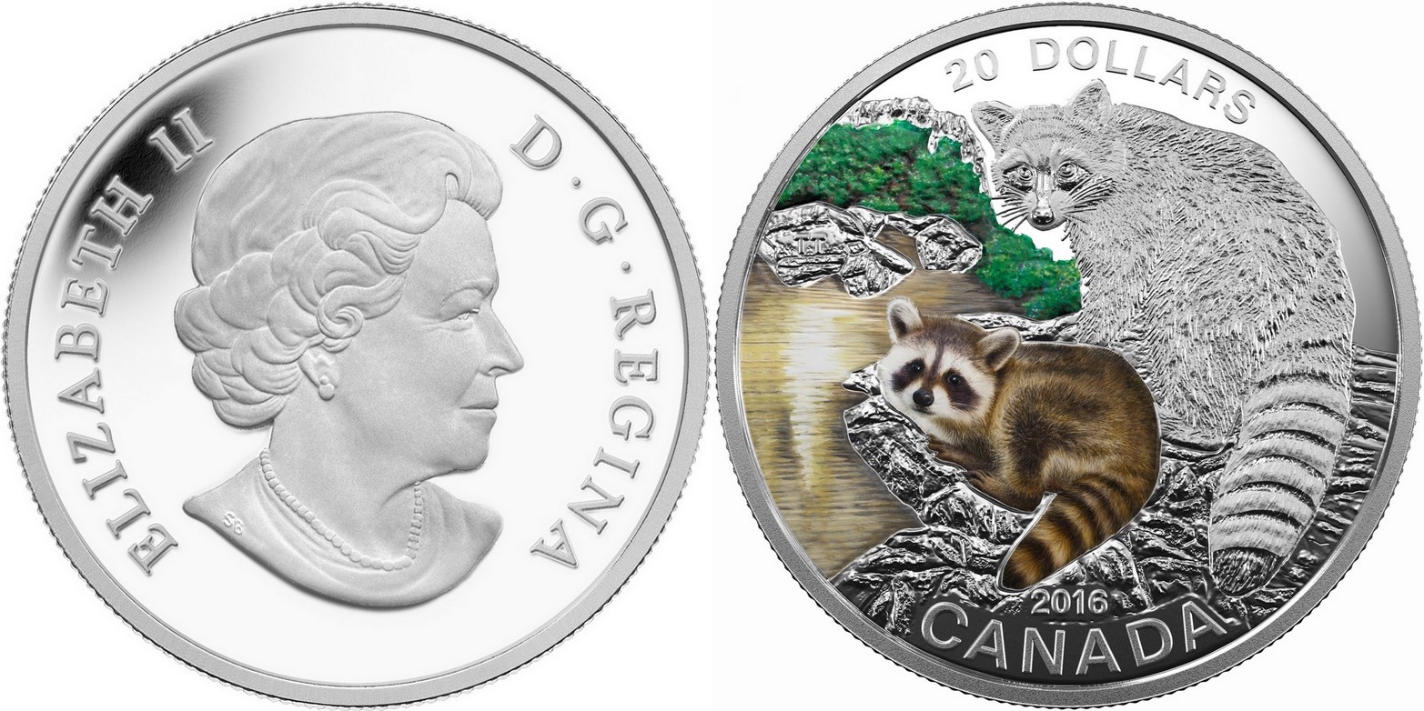 canada 2016 raton laveur