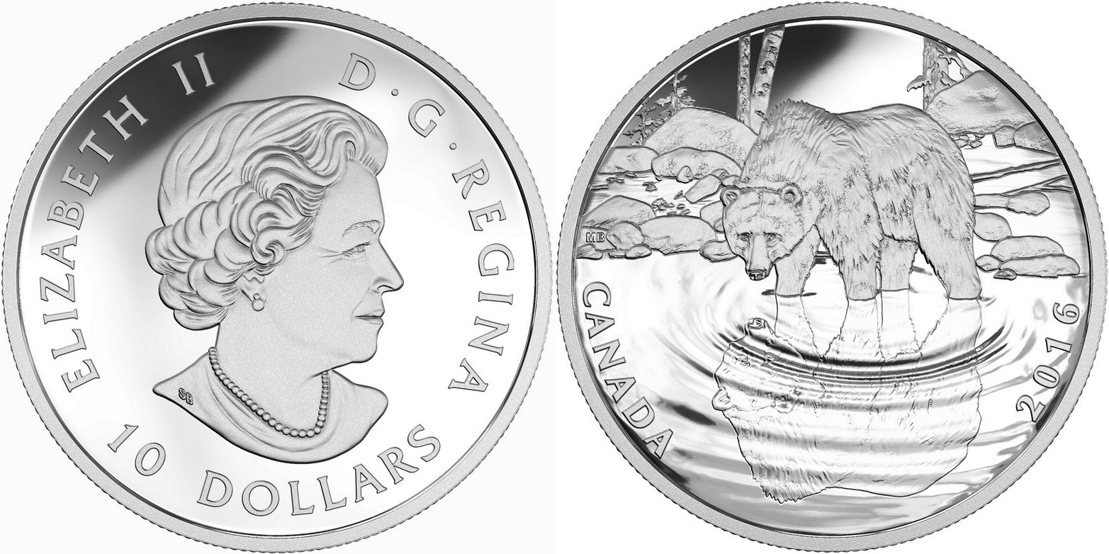canada 2016 reflets de la faune grizzly