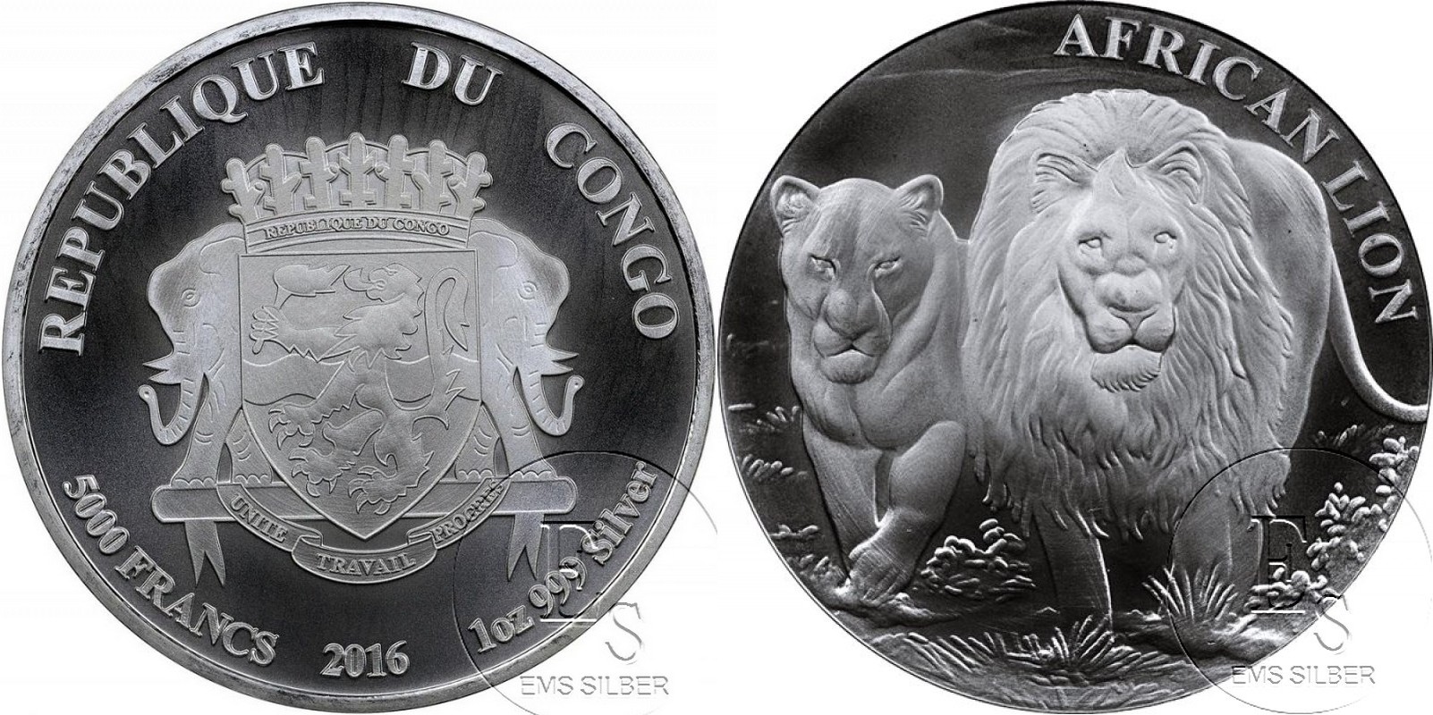 congo 2016 lion