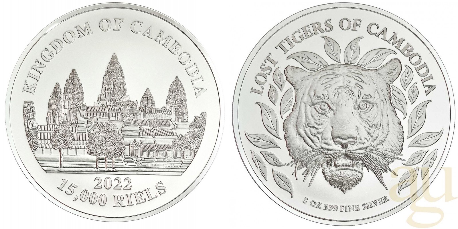 cambodge-2022-tigres-perdus-du-cambodge-5-oz