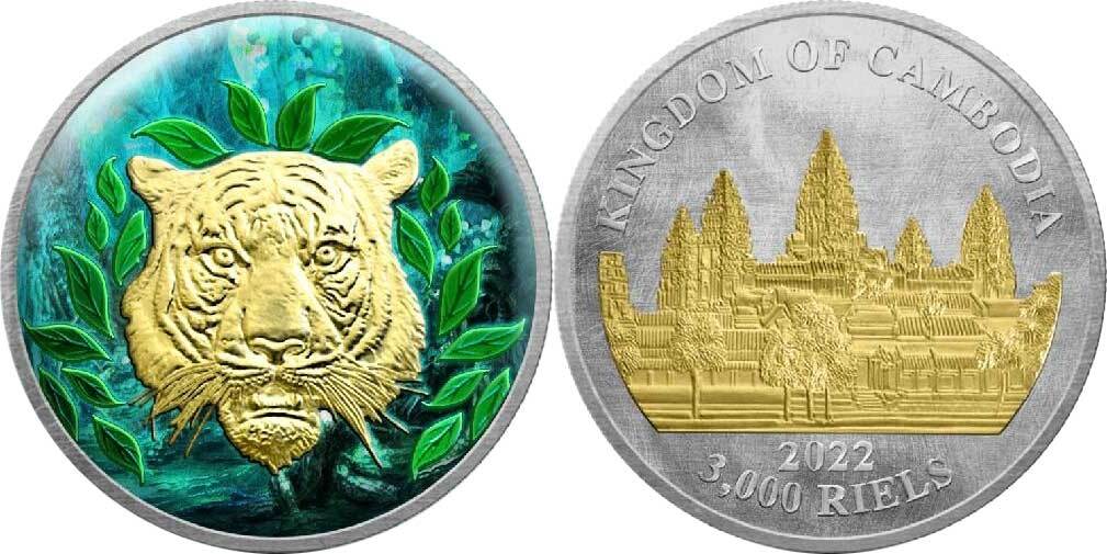 cambodge-2022-tigres-perdus-du-cambodge-couleur