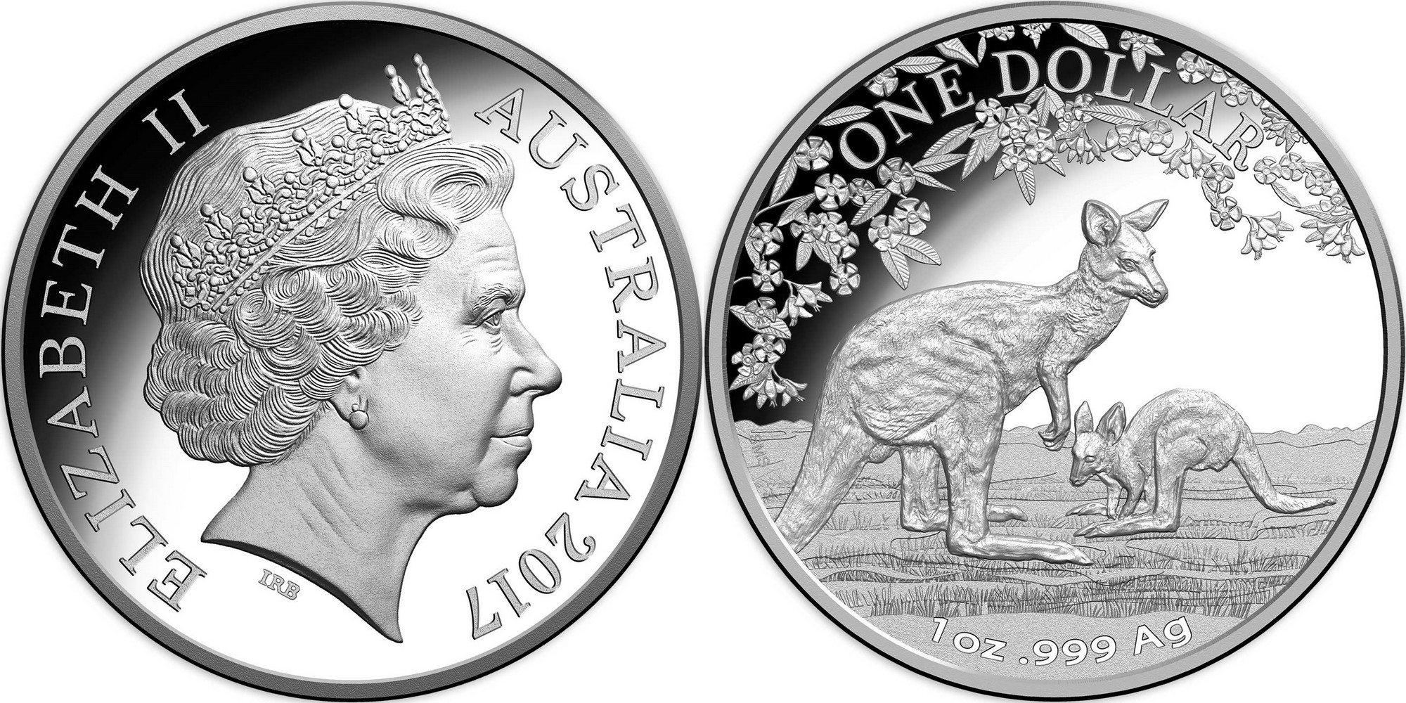 australie 2017 kangourou changement de saison