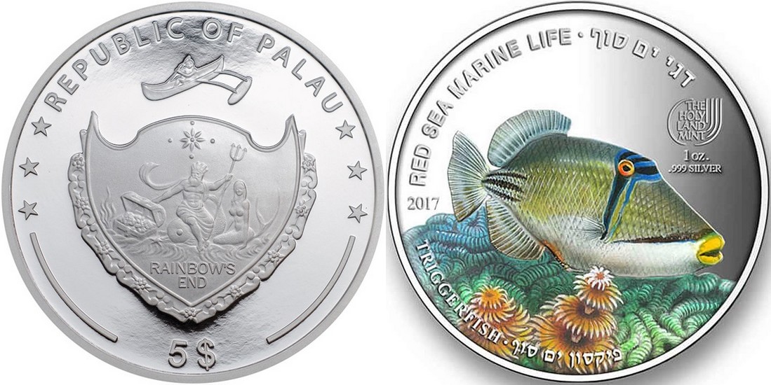 palau 2016 vie marine mer rouge poisson baliste
