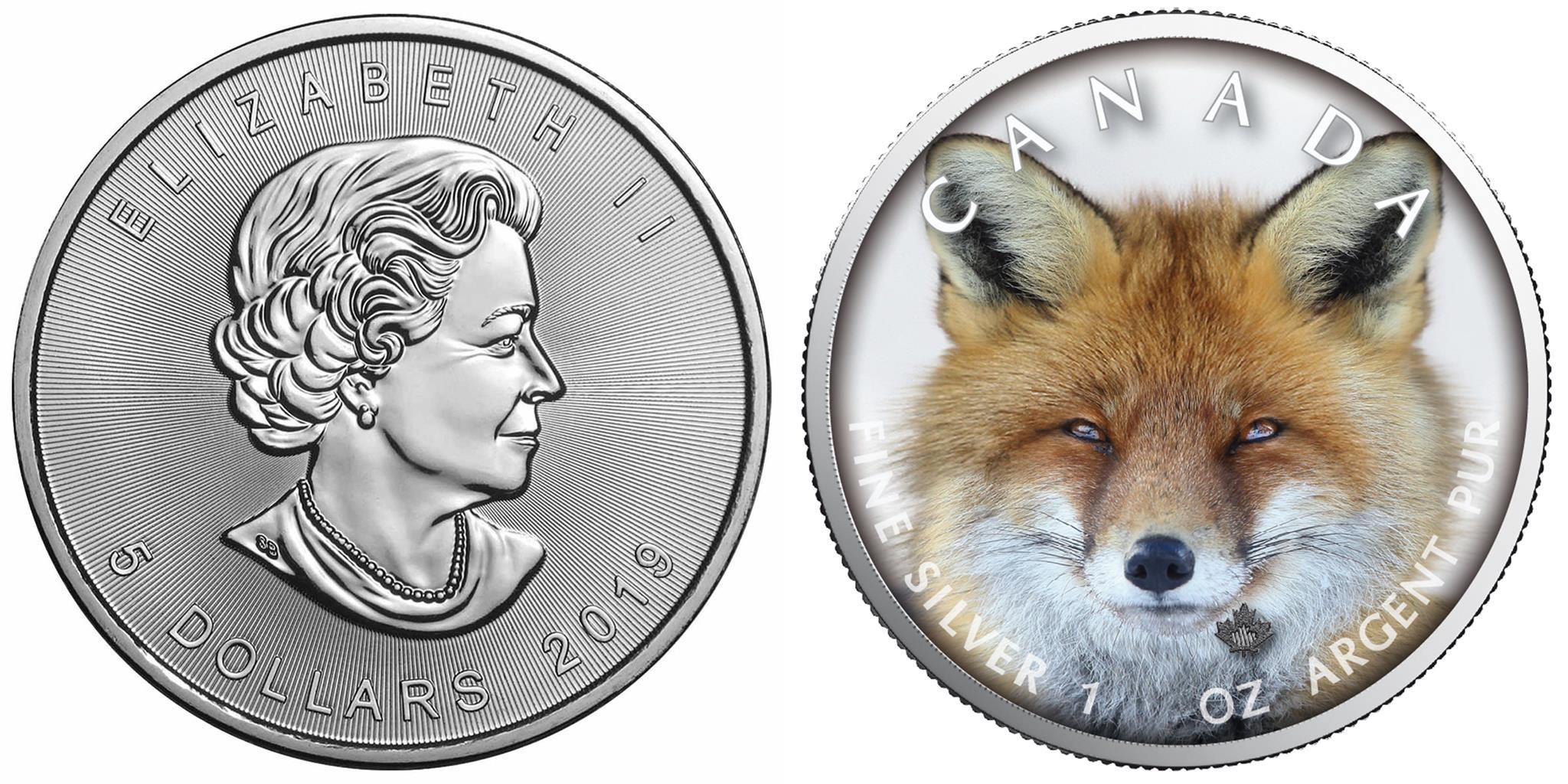 canada 2019 maple leaf renard 500 ex