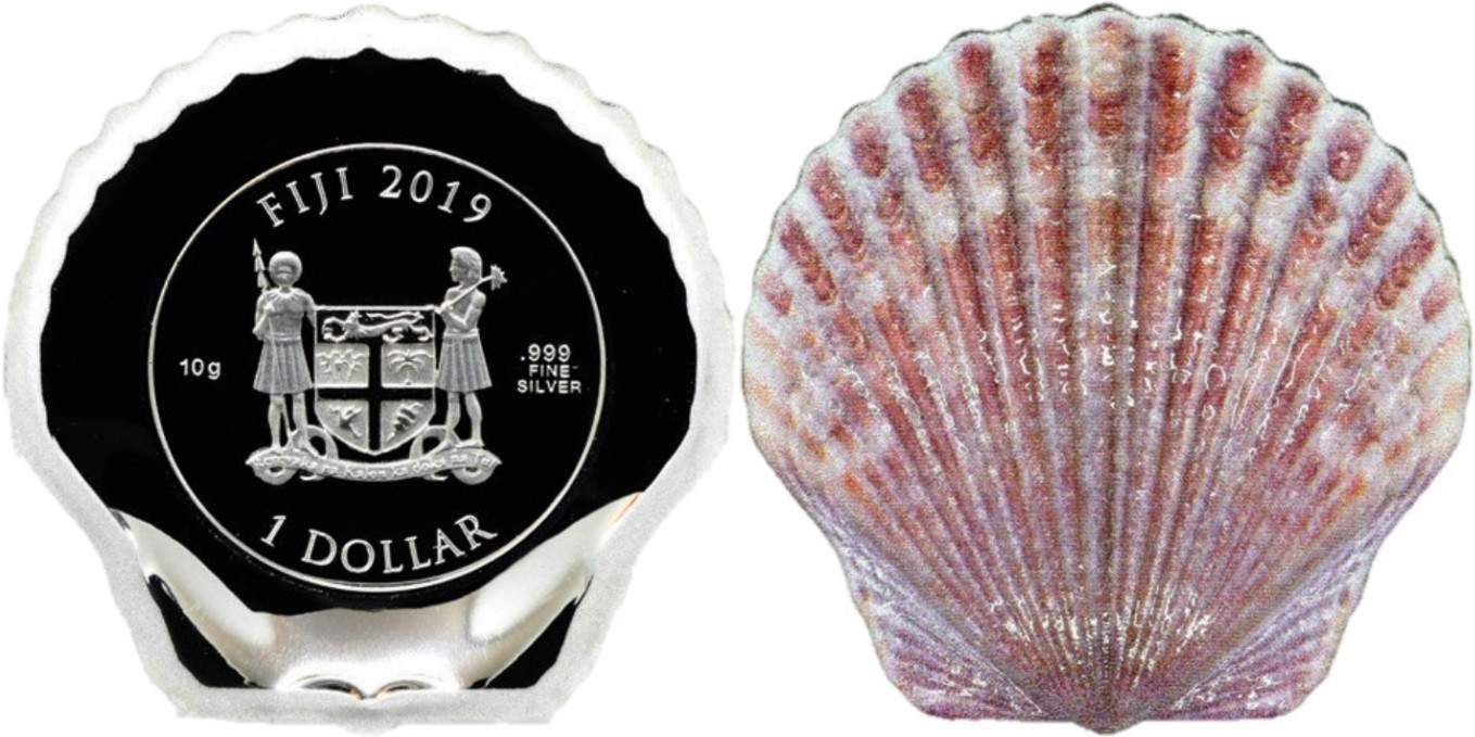 fidji 2019 coquille st jacques