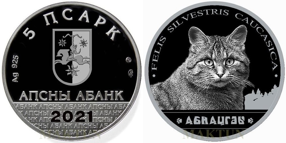 abkhazie-2021-felins-chat-sauvage-du-caucase