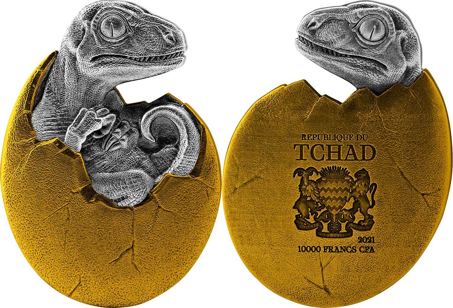 tchad-2021-velociraptor-oeuf-part-plaque-or