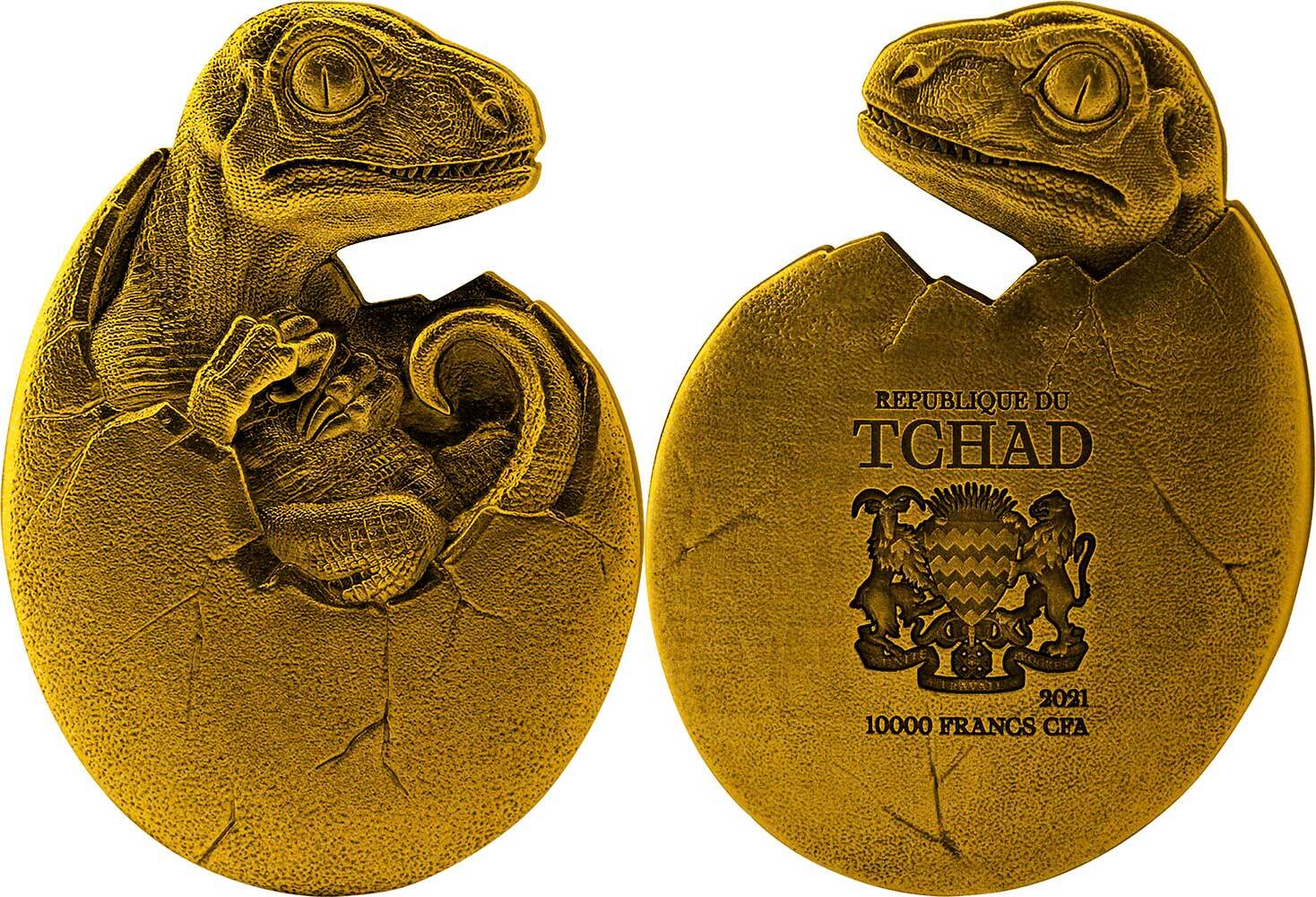 tchad-2021-velociraptor-oeuf-plaque-or