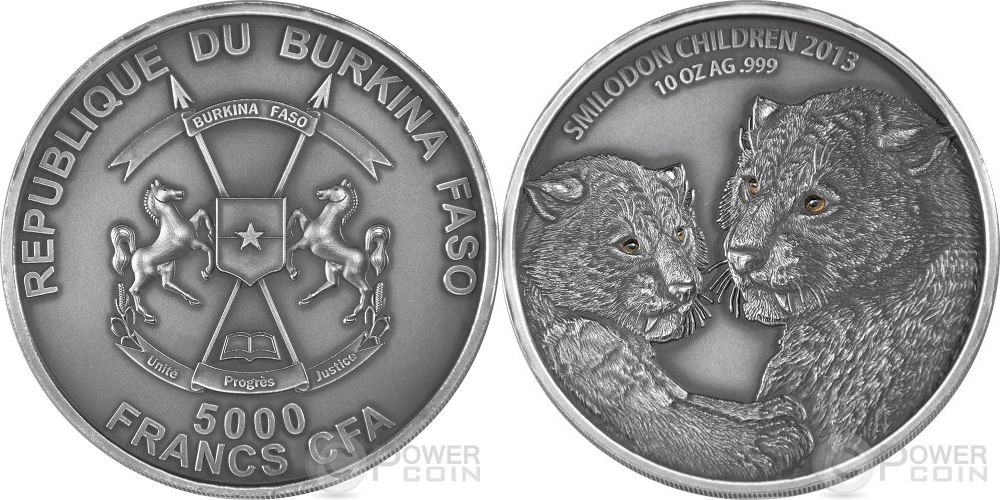 burkina faso 2013 enfant smilodon 10 oz