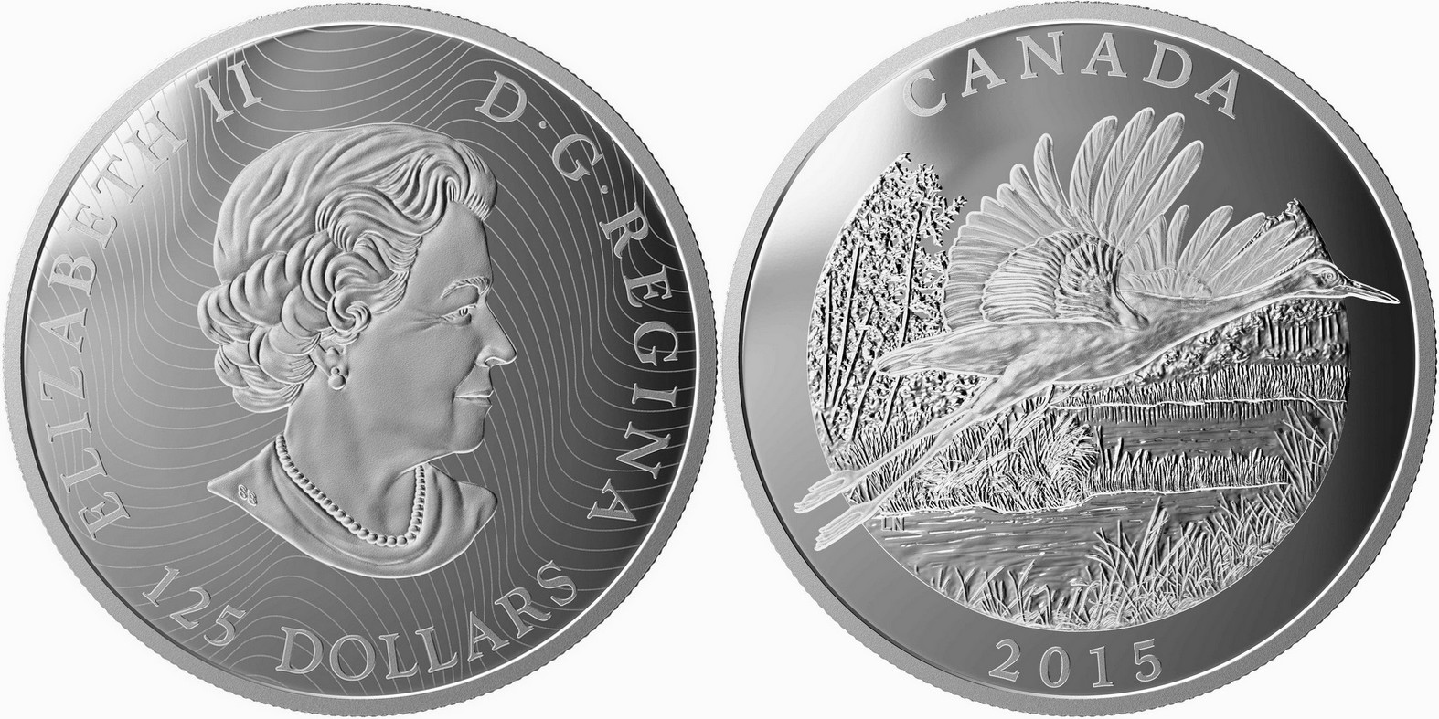 canada 2015 grue blanche