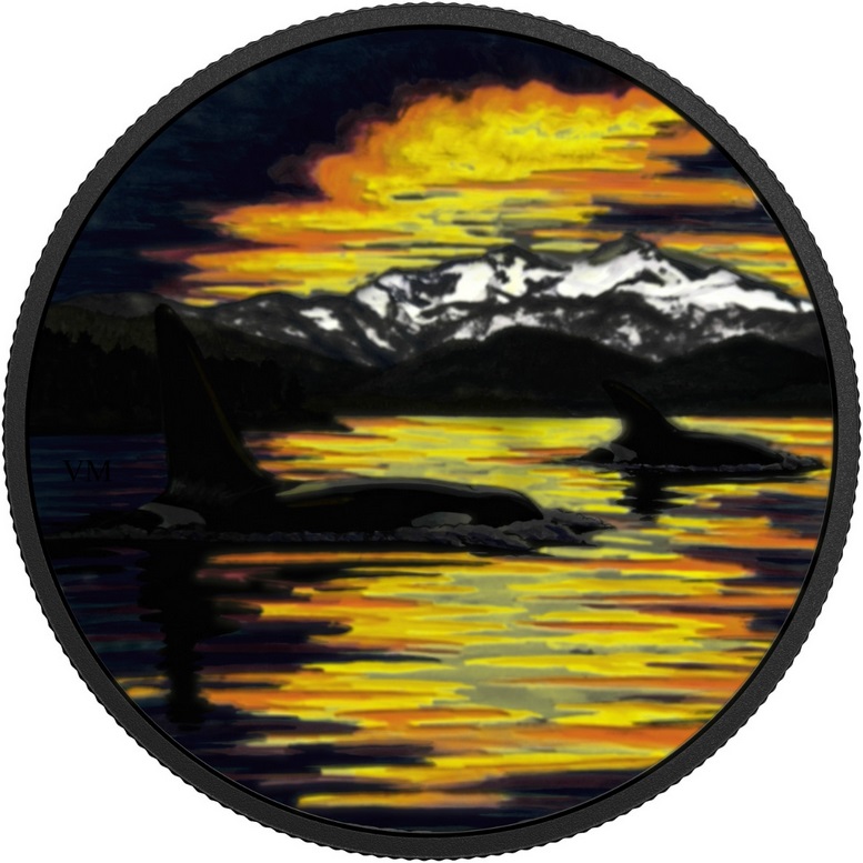 canada 2017 animaux au clair de lune orque 1