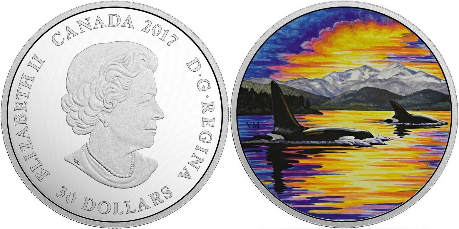 canada 2017 animaux au clair de lune orque