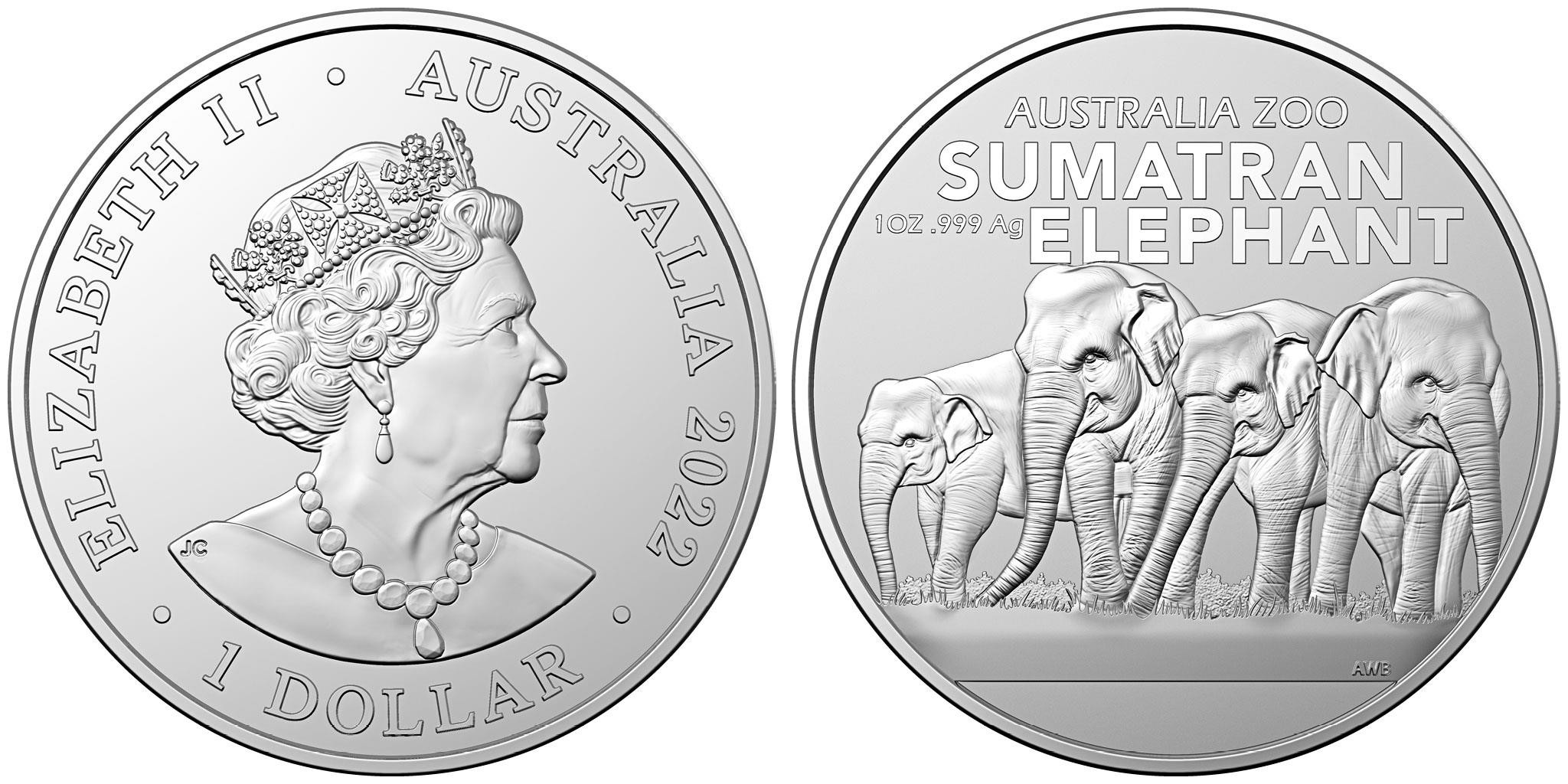 australie-2022-elephant-de-sumatra