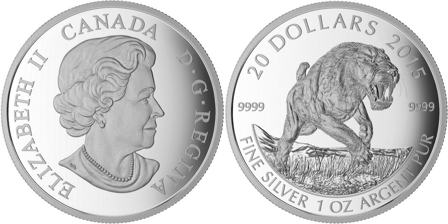 canada 2015 chat des cavernes
